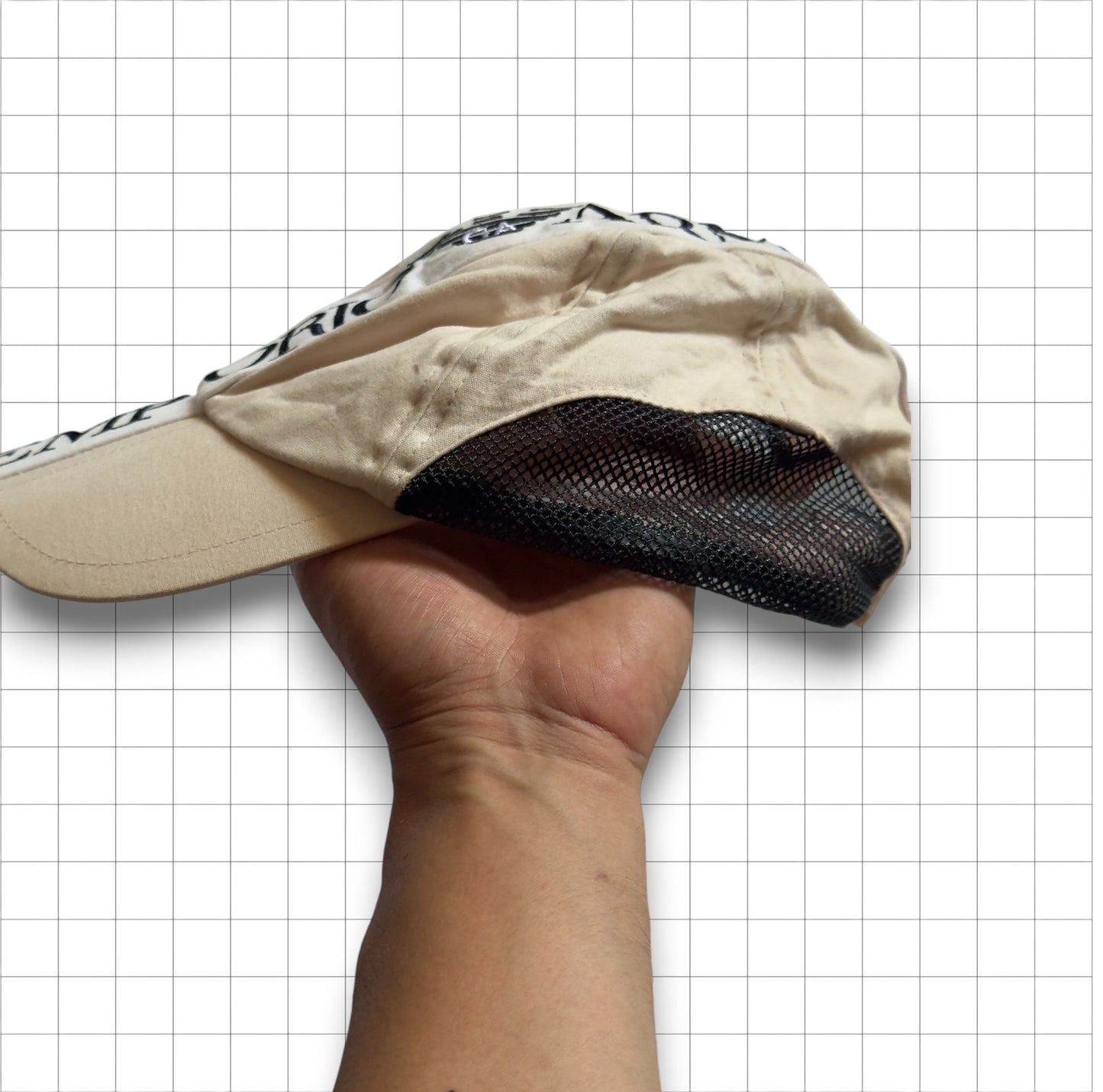 Cappellino EA (adjustable)